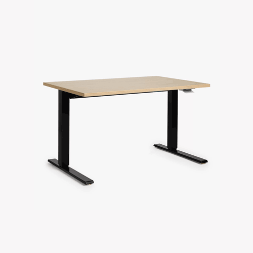 [0] Large Desk
